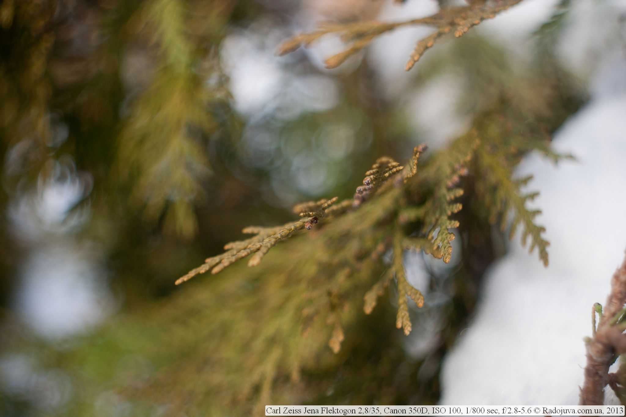 Review: carl zeiss jena 35mm 2.4 flektogon - phillipreeve.net