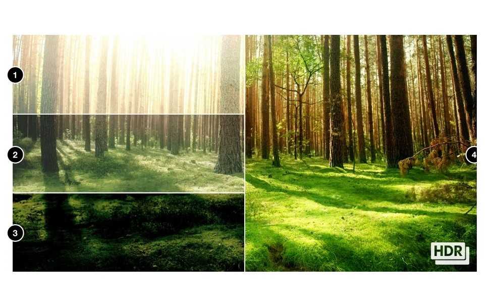 Режим съемки hdr в камере – что это такое?
