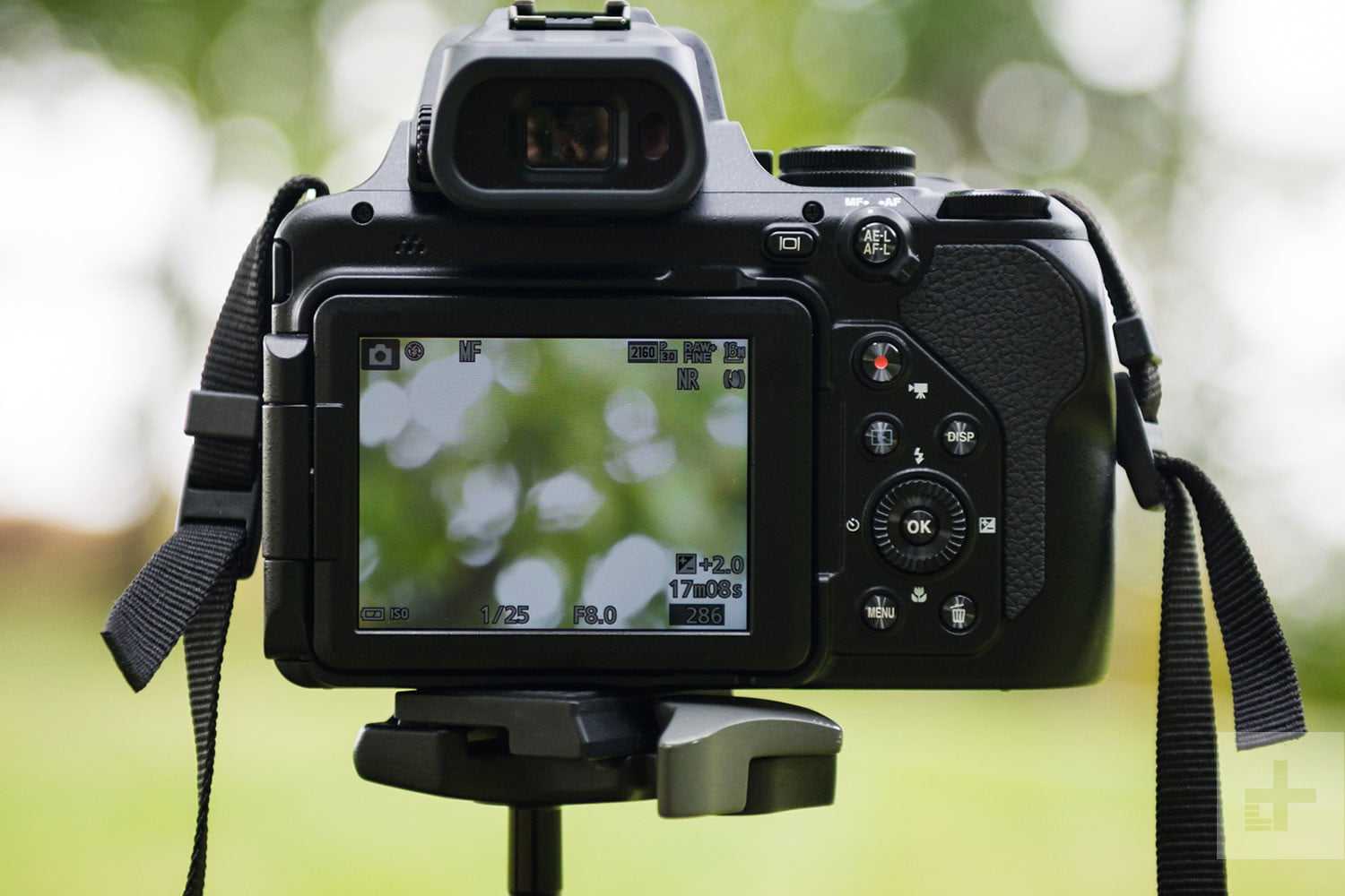 Топ-10 лучшие камеры и фотоаппараты nikon в 2022 году
