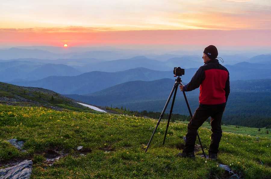 Как фотографировать цветы: рекомендации по съемке цветов