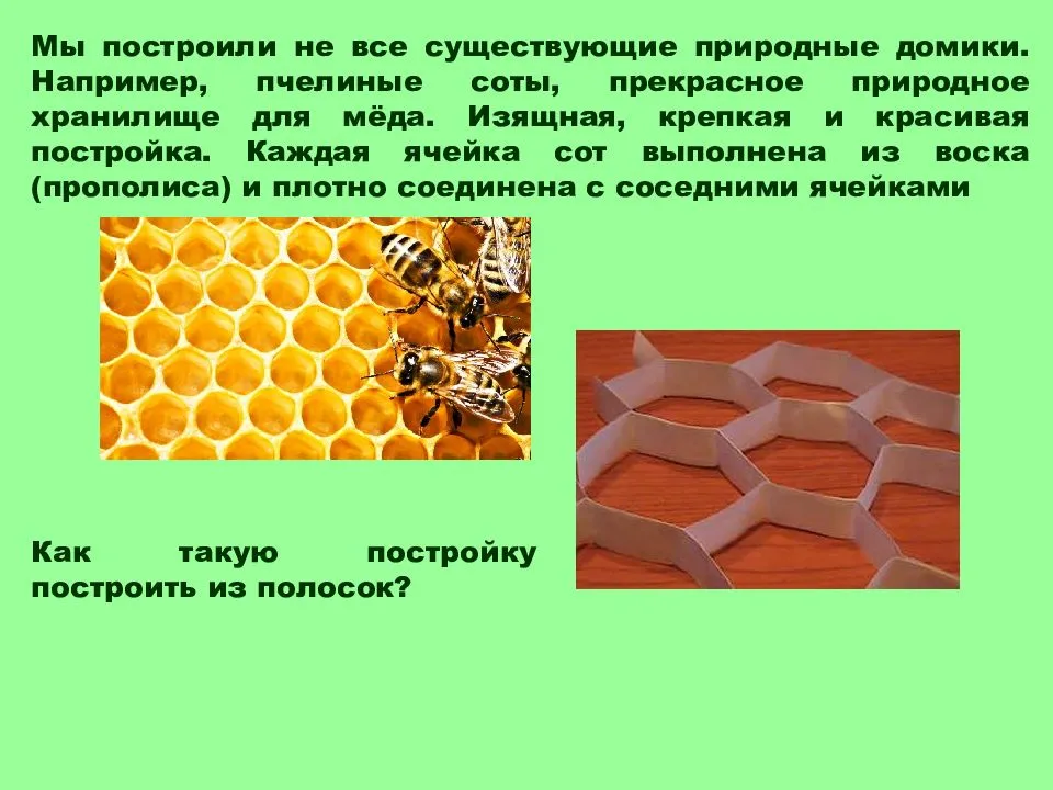 10 лучших софтбоксов с алиэкспресс – рейтинг 2019