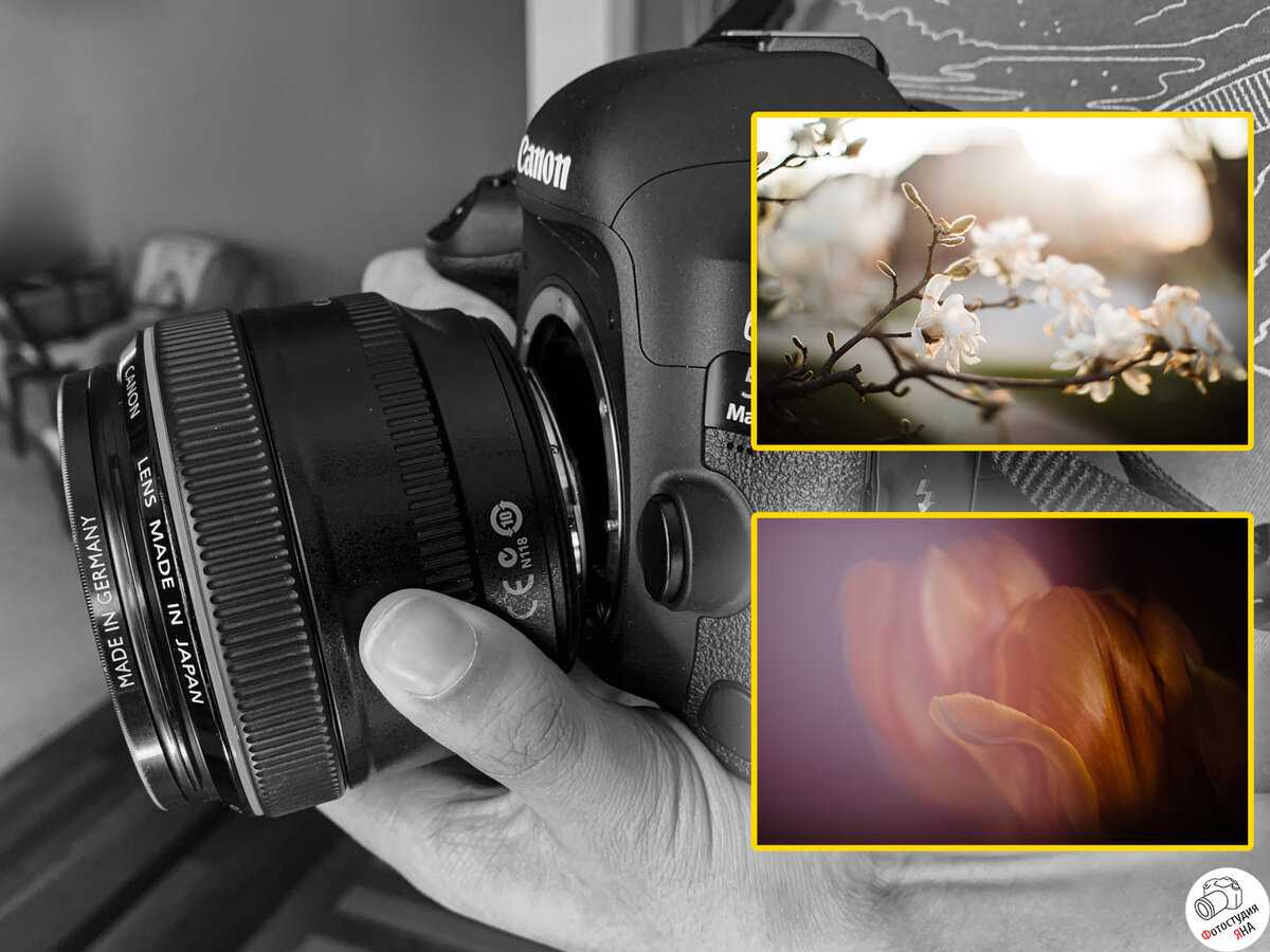 Программа фотомастер: полный обзор редактора фотографий и отзыв