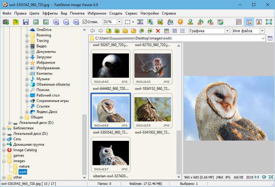 Faststone image viewer - обзор программы и её возможностей