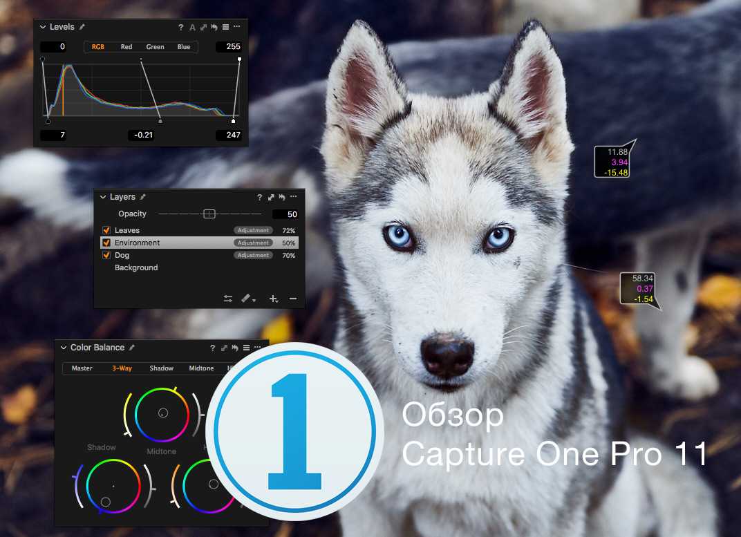 Обработка фотографий в capture one pro: руководства, учебники, курсы, советы и секреты | блог бондарь андрея