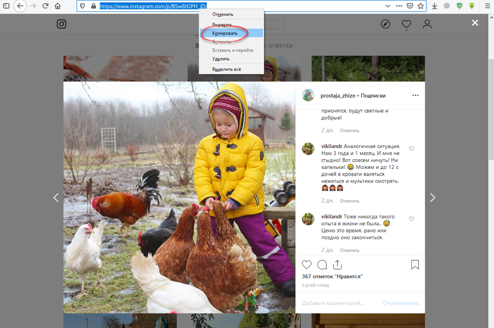 Авторское право на изображения: какие картинки можно использовать | статьи seonews