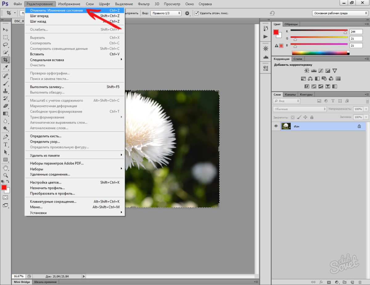 Как приблизить картинку в adobe photoshop