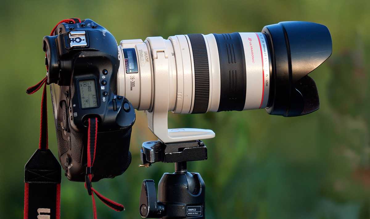 Как выбрать объектив для фотоаппарата, лучшие объективы 2014-2015 года