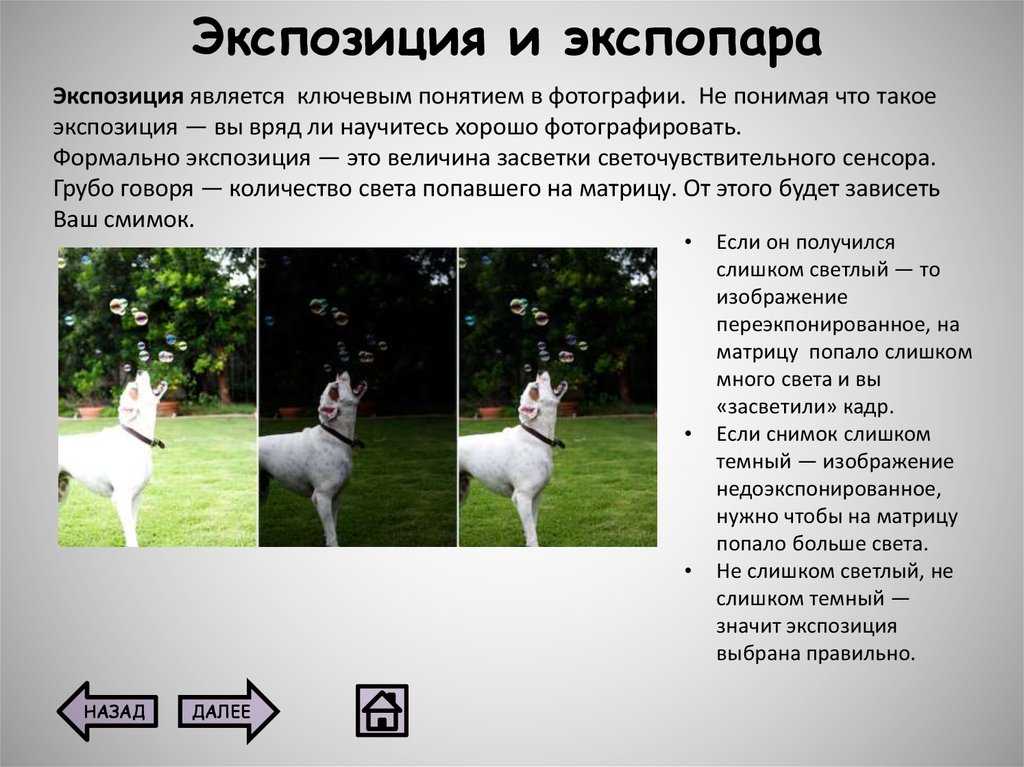 Что такое выдержка в фотоаппарате. как выбрать и настроить выдержку