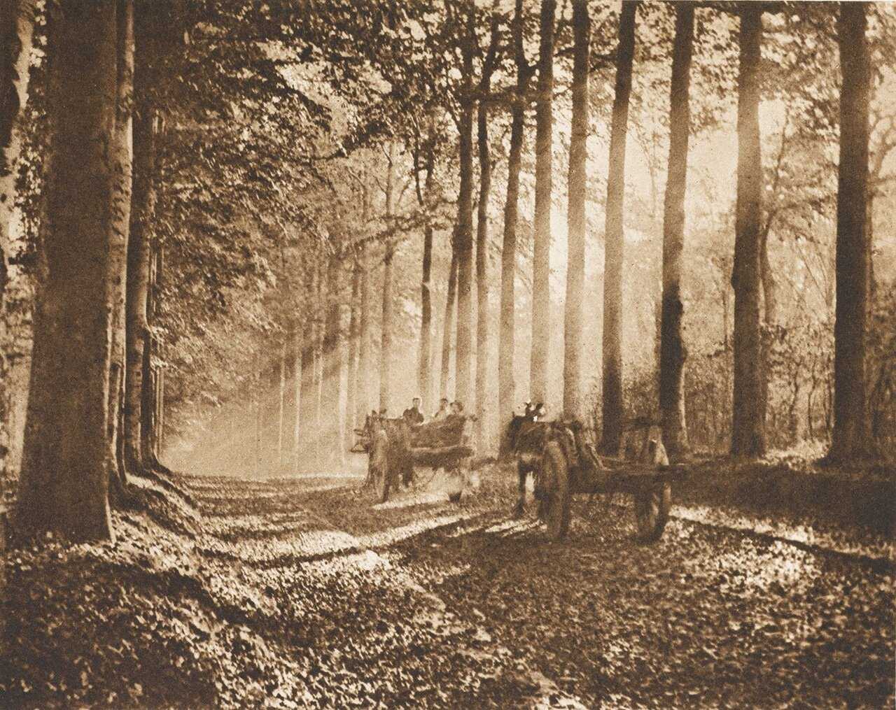 История фотографии: начало #1