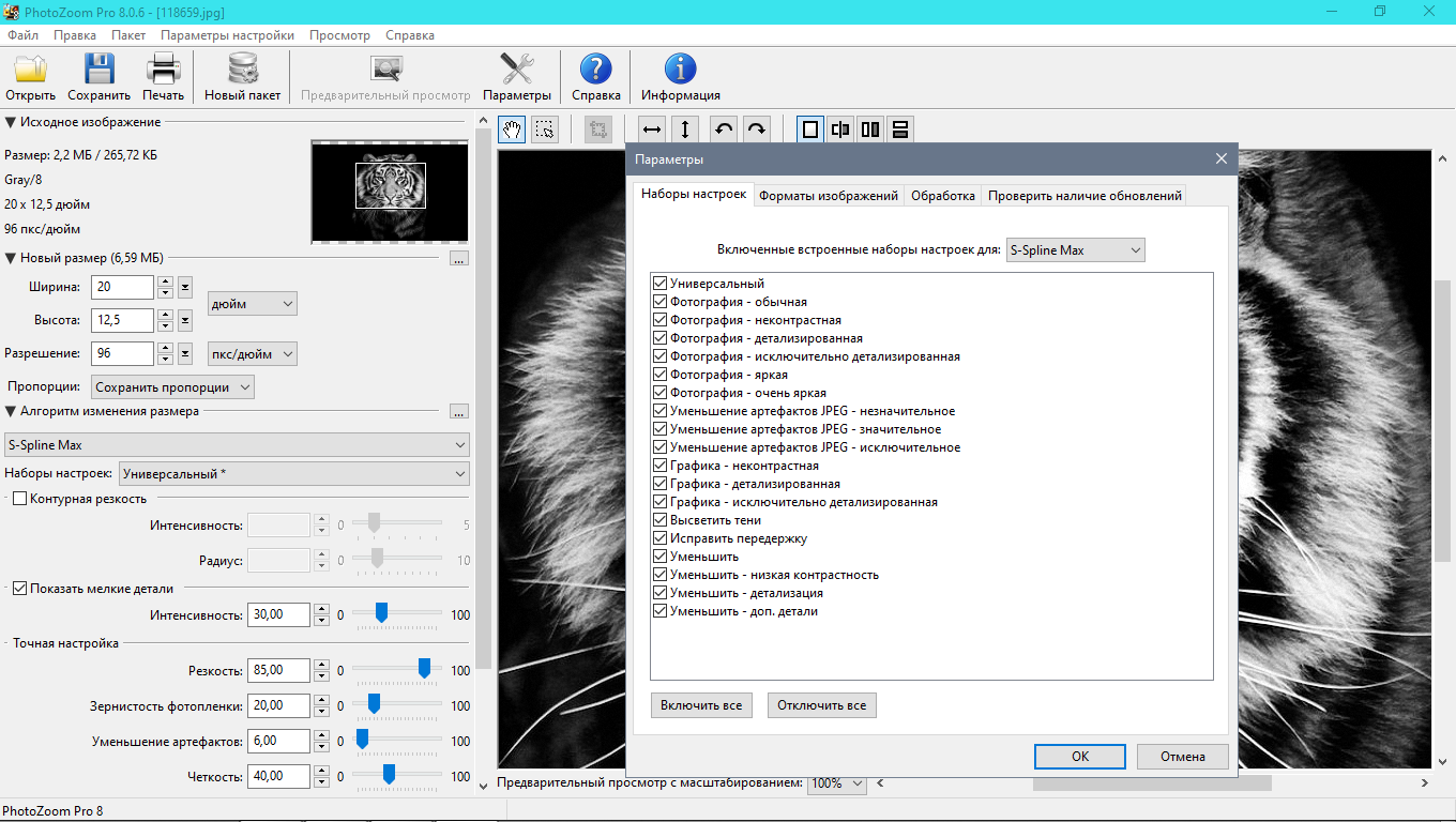 Benvista photozoom pro 8.1.0 скачать бесплатно русская версия