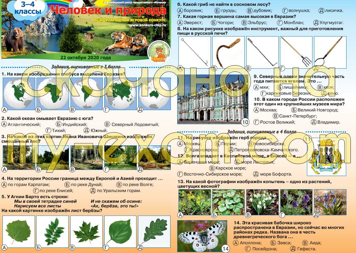 Самые дорогие ордена и медали: топ-10 ценных наград