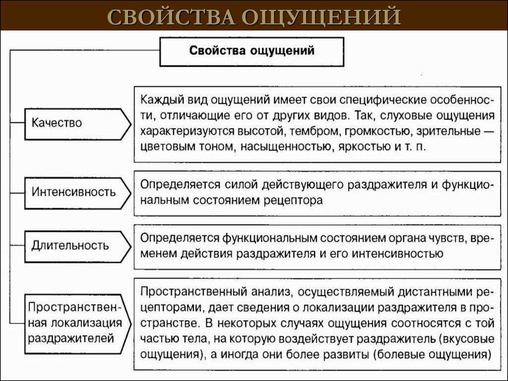 Чем живая природа отличается от неживой: характеристика главных отличительных признаков | tvercult.ru