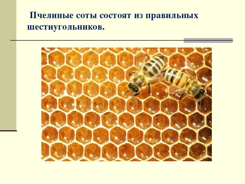 Основы студийной фотосъемки. светоформирующие насадки, часть i - fototips.ru
