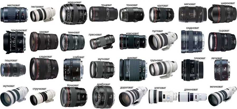 Какой выбрать объектив для фотоаппарата?
