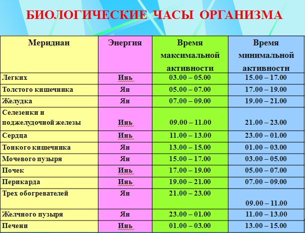 Растение тилландсия- 10 советов по уходу и разведению дома