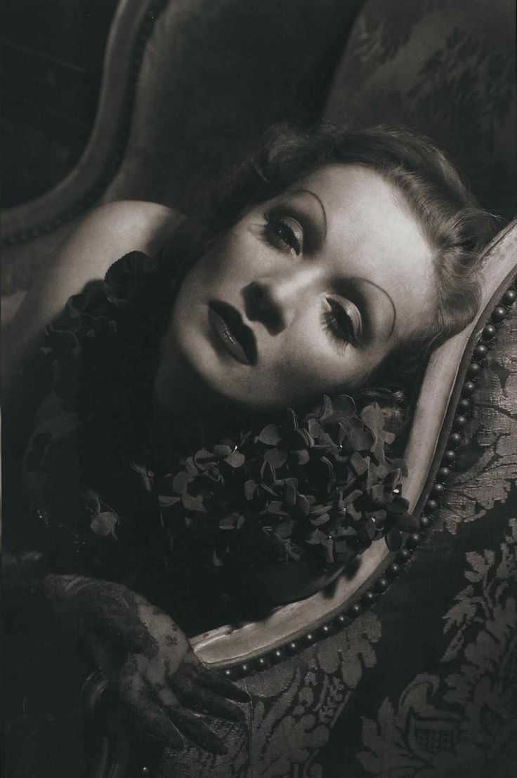 The estate of edward steichen