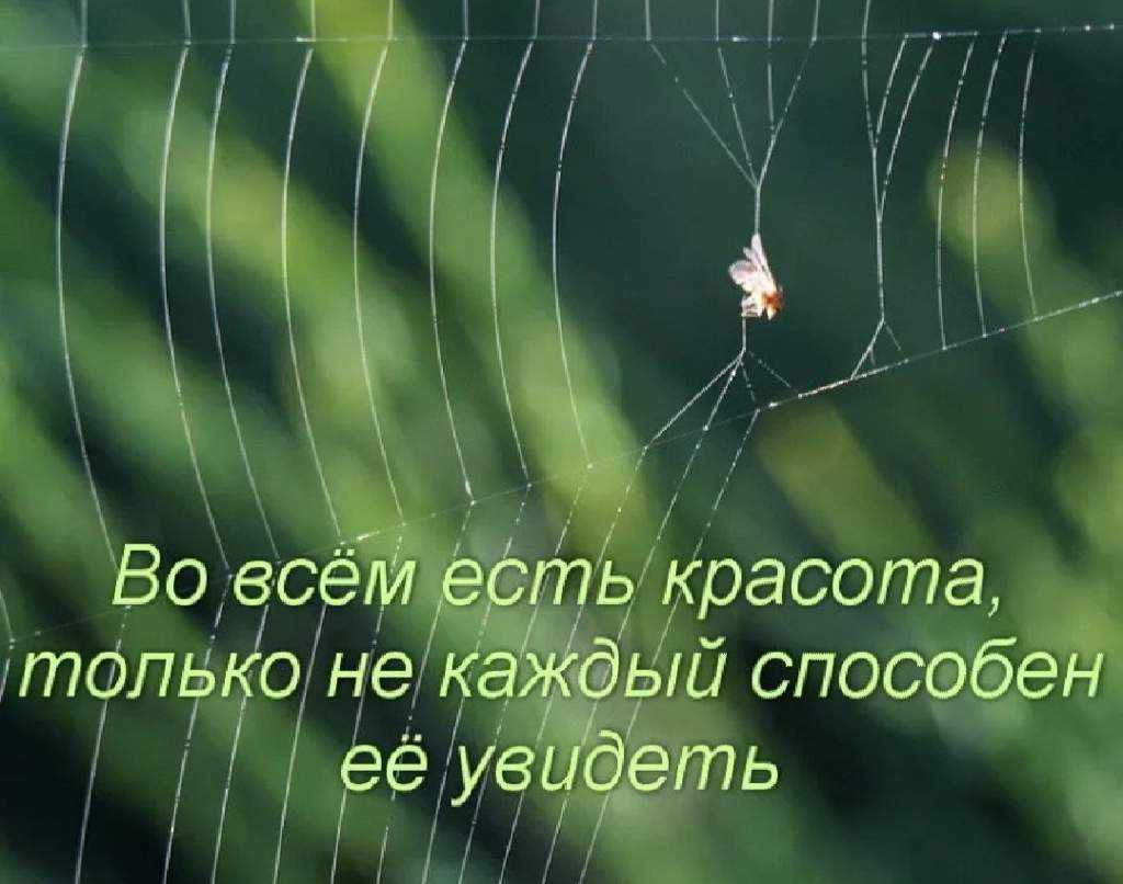 Проверка объектива перед покупкой
