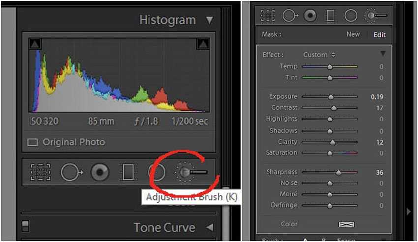 Обработка портретного фотоснимка в lightroom