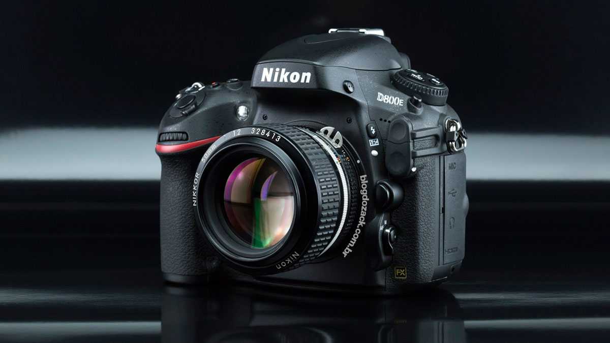 Тест зеркального фотоаппарата nikon d800e: особая версия превосходит любую другую камеру по передаче мелких подробностей