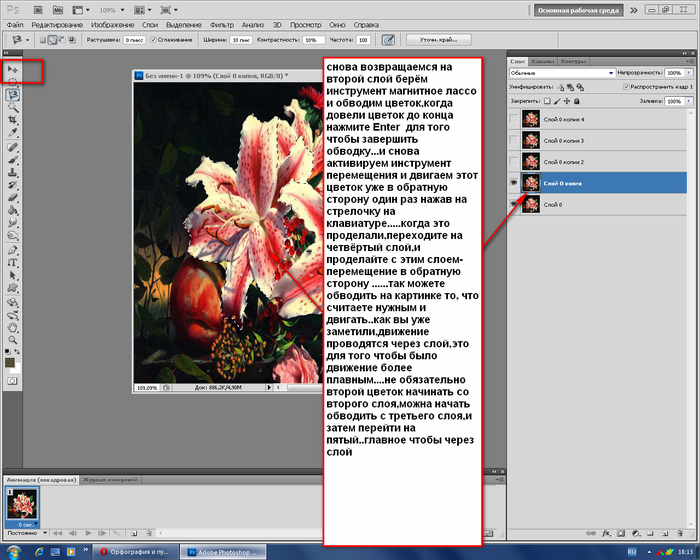 Учебник photoshop. инструмент лассо. - программные продукты - статьи