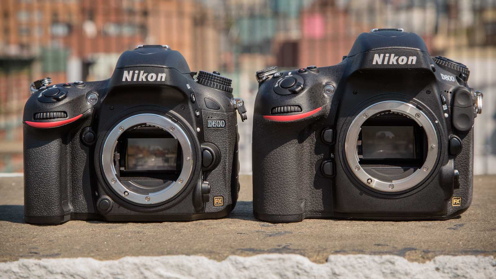 Nikon d500 обзор и тест фотоаппарата — сравнение с другими моделями