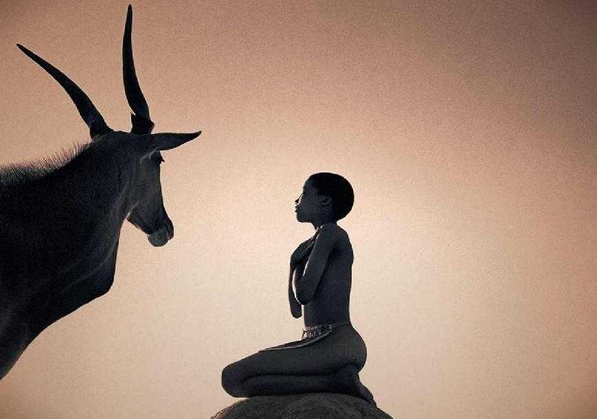Грегори колберт - gregory colbert - dev.abcdef.wiki