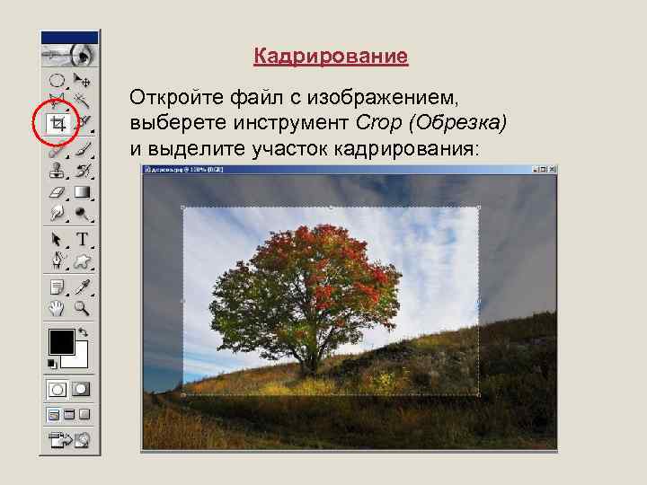 Тема 1. как гармонично кадрировать фотографию в adobe photoshop? (обзор инструмента «grop» и основ композиции). - cadelta.ru