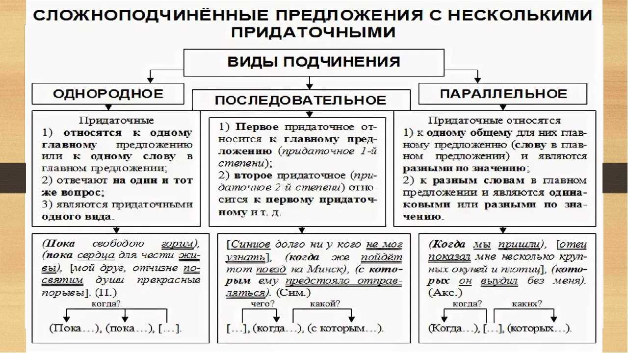 Задания к викторине с ответами по экологии, биологии и окружающему миру