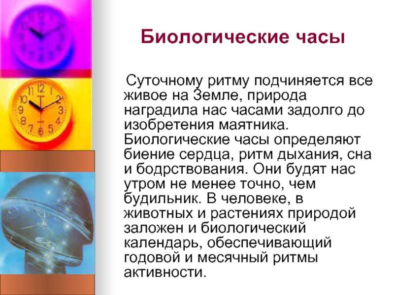 Скорость роста растений