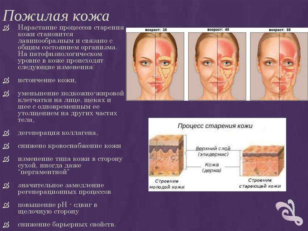 Портретная фотография это волшебство