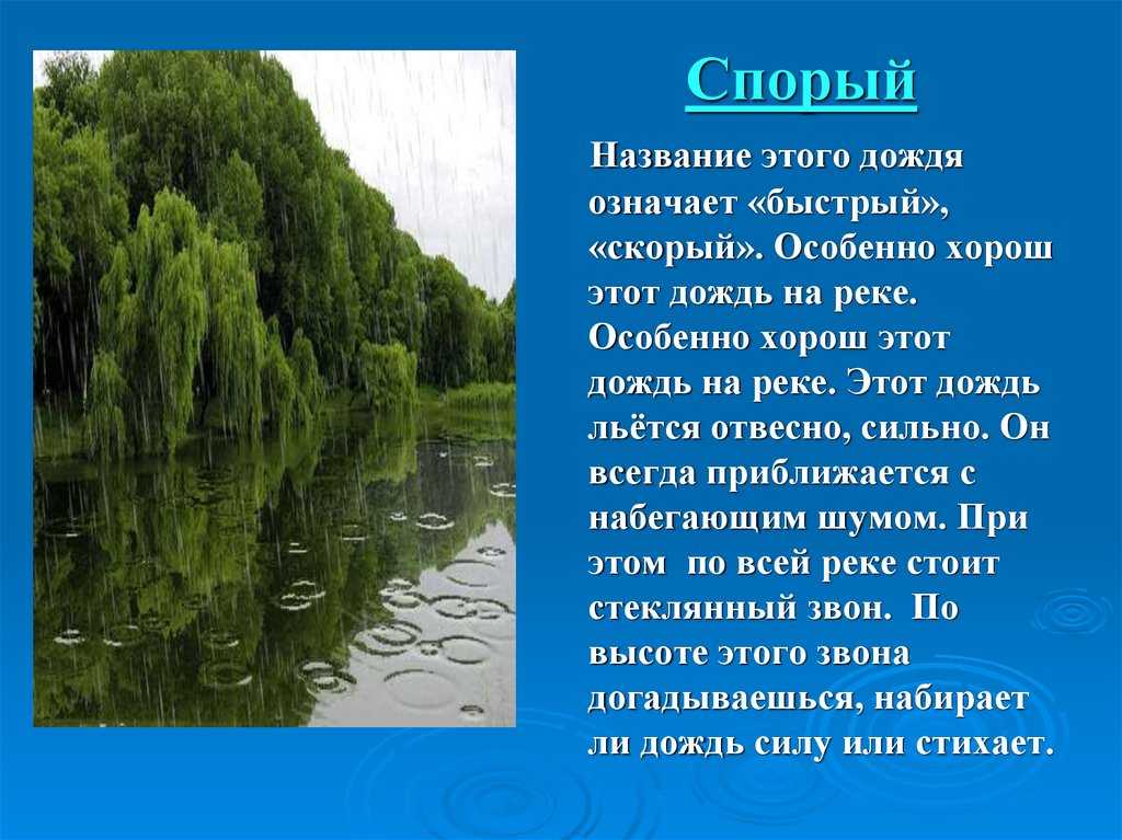 Фотосъемка в дождливую погоду