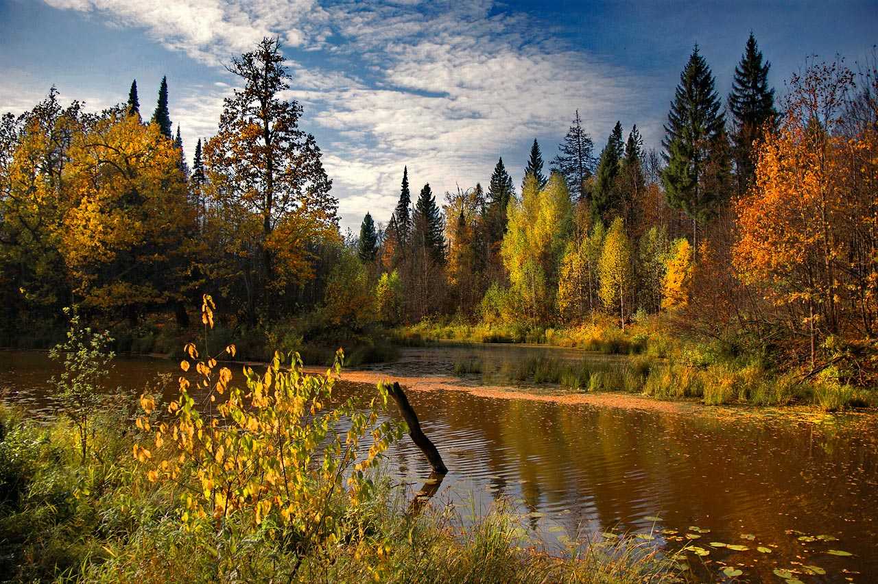 Майкл кенна фотографии.  майкл кенна - мастер черно-белой пейзажной фотографии