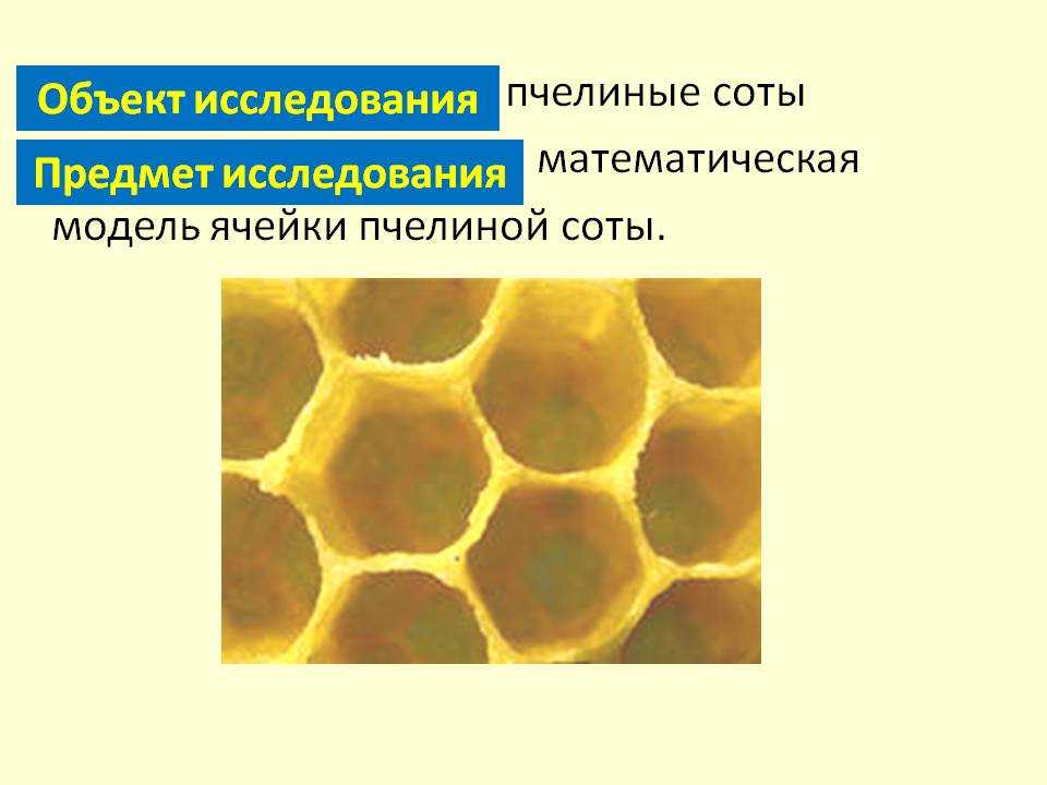 Рассеиватель полезен только для защиты вспышки от повреждений.