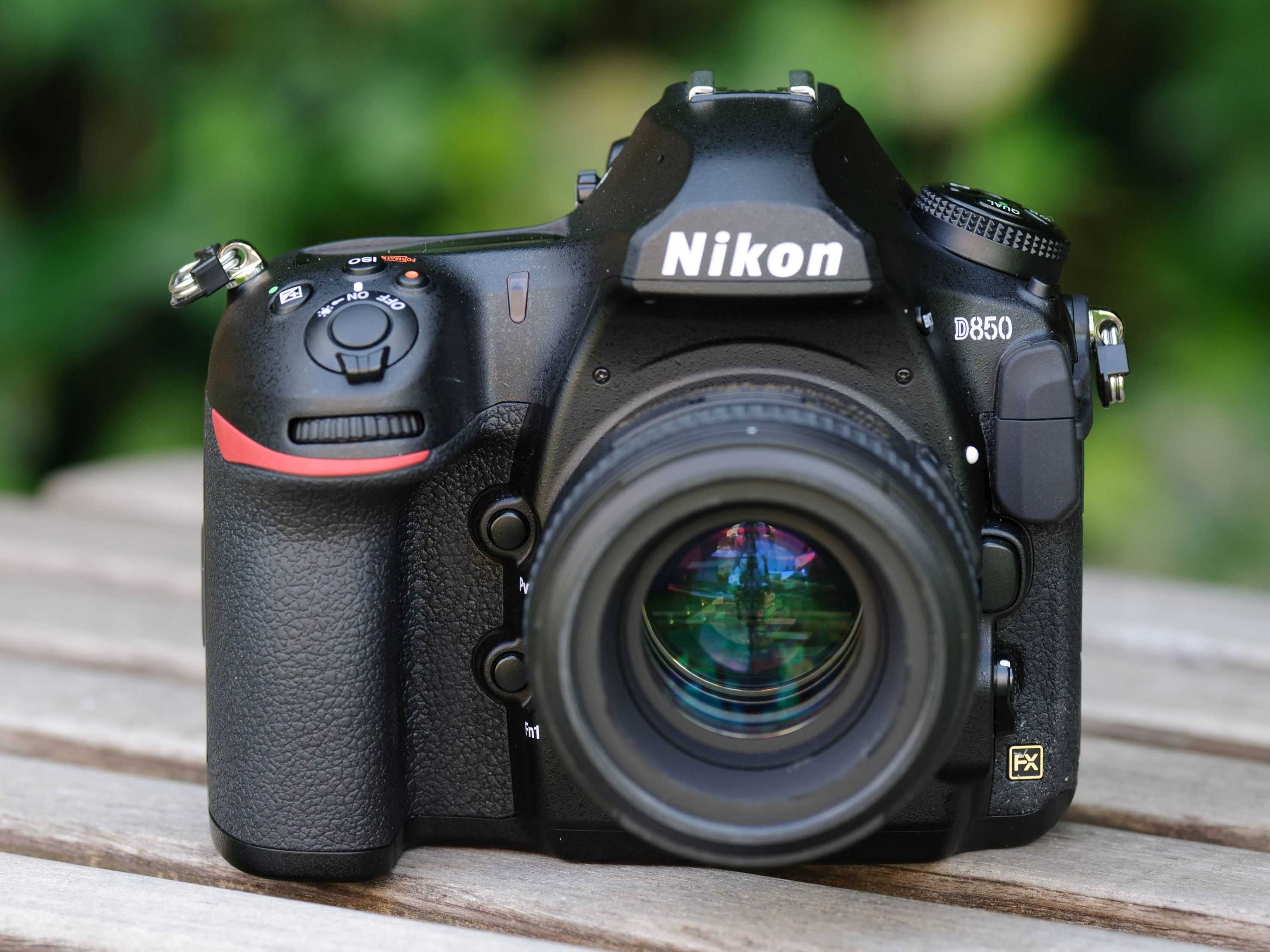 Nikon и canon: сходства и различия