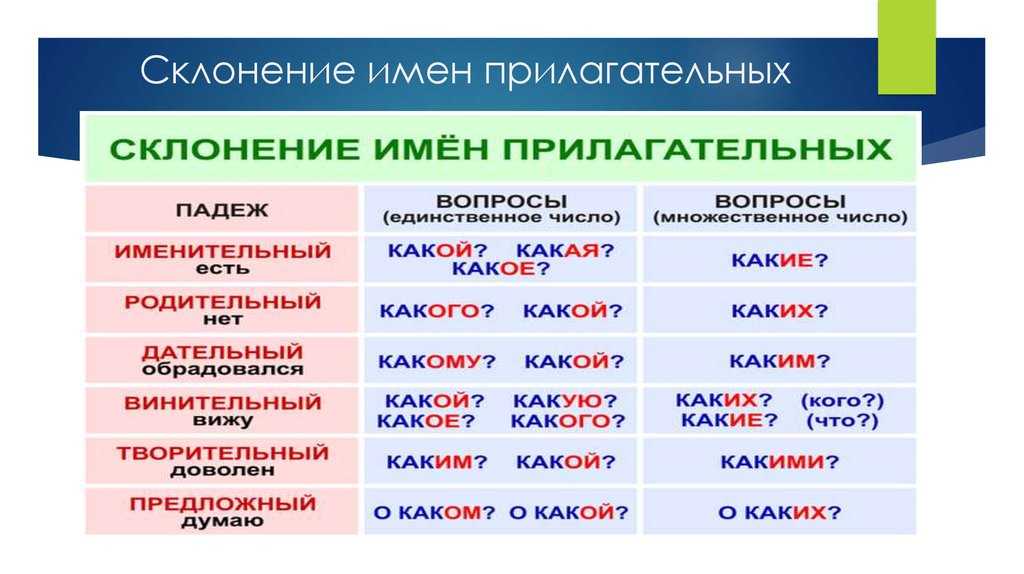 Гуляли всю ночь до утра: как провести ночную свадебную фотосессию