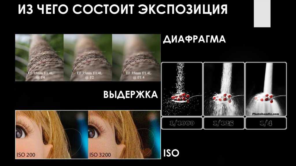 Что такое экспокоррекция в фотоаппарате и как с ней правильно работать?