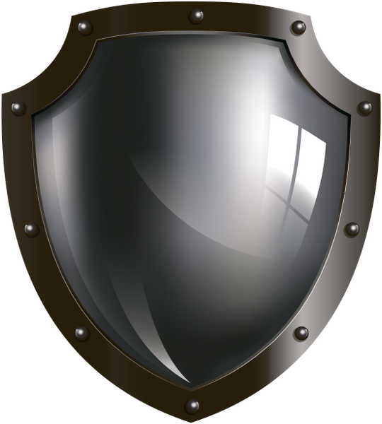 Shield защита