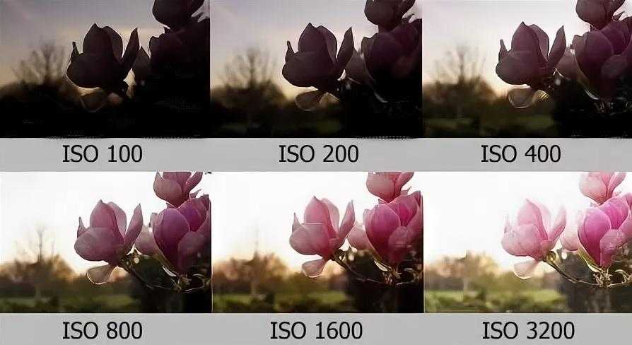 Что значит стандарт iso в фотоаппарате, как он работает, связь с экспозицией