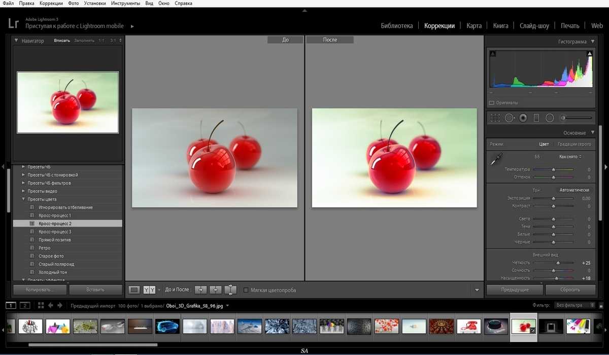 Как работать в lightroom: самое полное руководство для новичков. часть 1