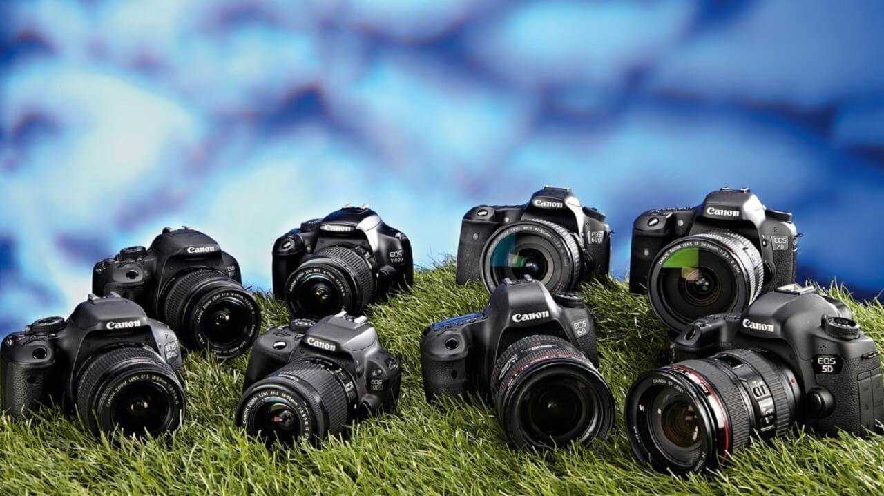14 лучших фотоаппаратов canon