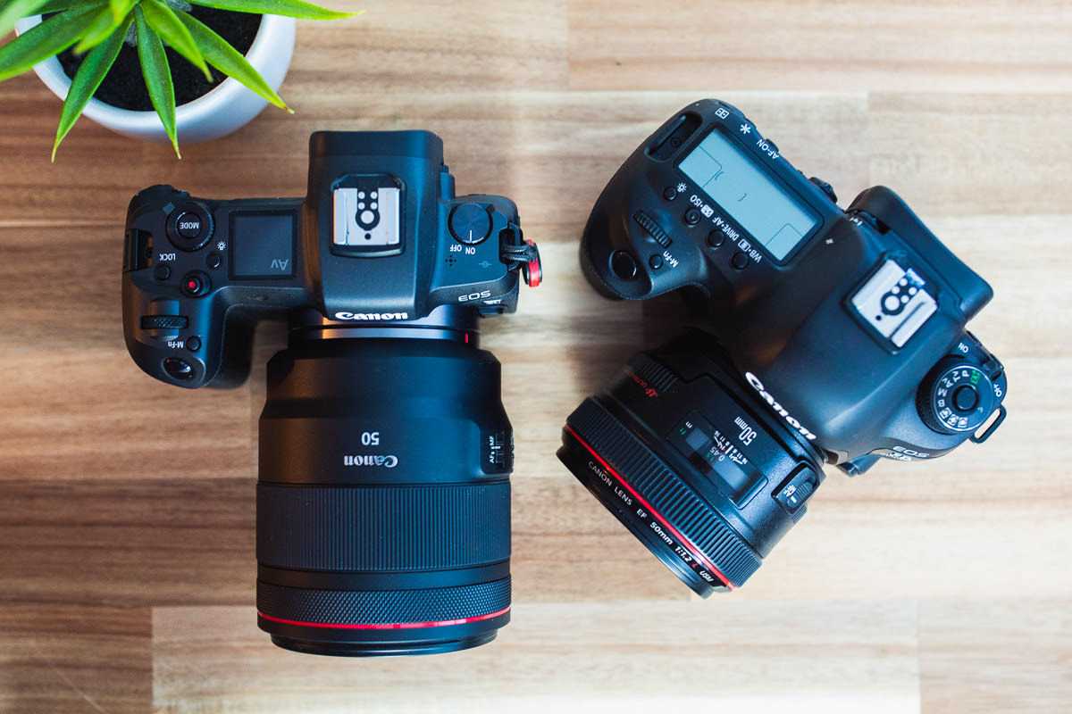 Canon eos r3: первые впечатления и обзор возможностей