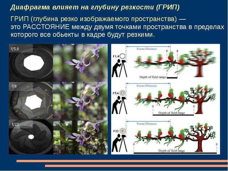 Диафрагма фотоаппарата - энциклопедия фотографии