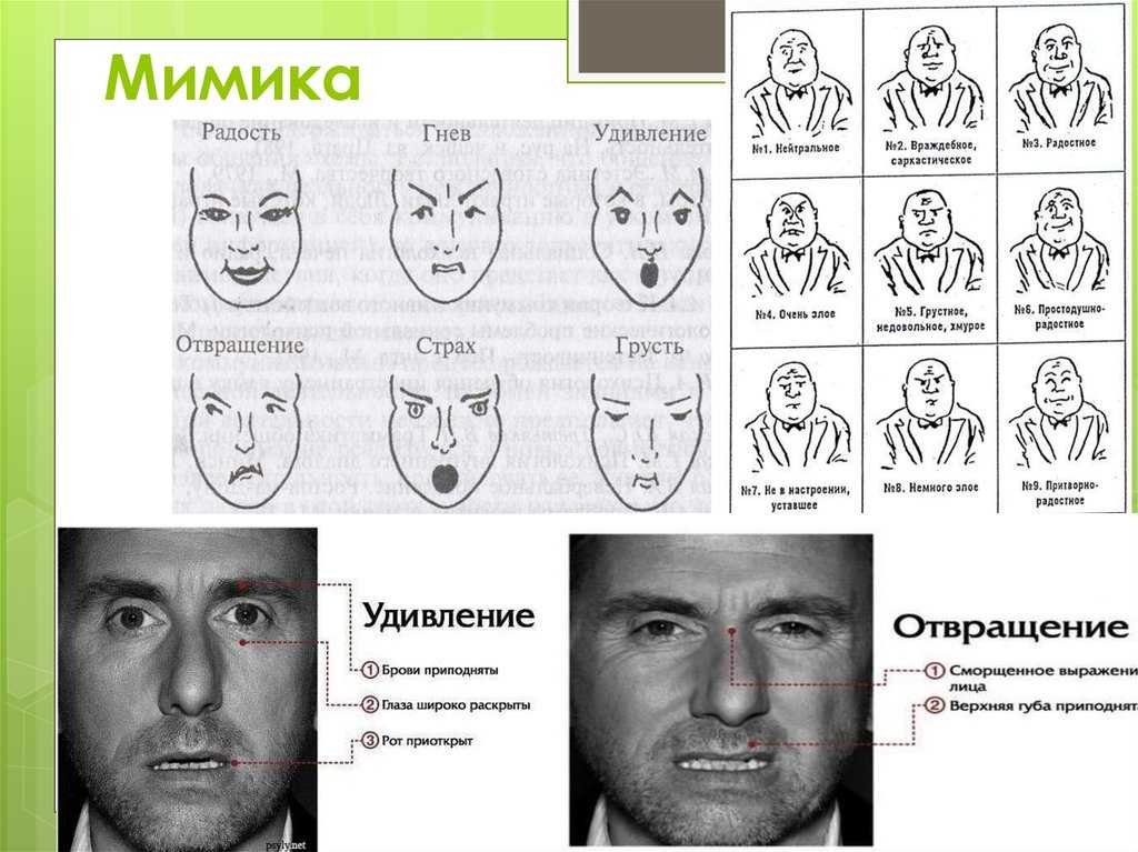 Как научиться читать выражения лица (с иллюстрациями)